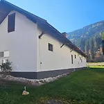 Ferien- Und Pferdegut Schloss * 特雷芬
