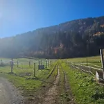Ferien- Und Pferdegut Schloss Apartamento *