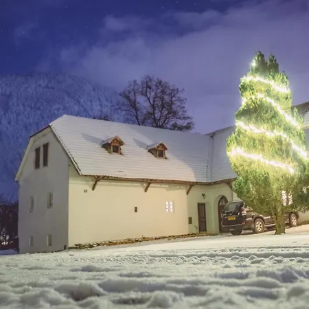 Ferien- Und Pferdegut Schloss Apartmán Treffen
