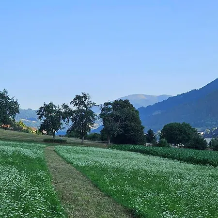 Ferien- Und Pferdegut Schloss * Treffen