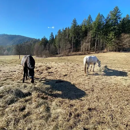 Appartamento Ferien- Und Pferdegut Schloss Treffen