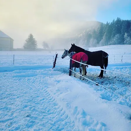 Apartment Pferdegut Schloss