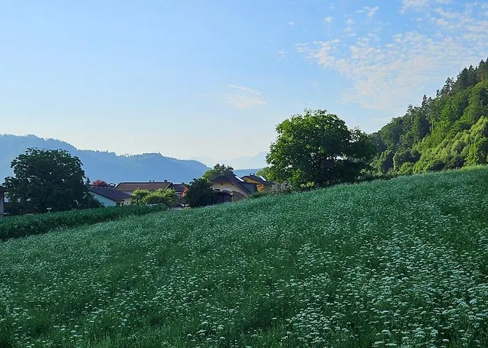 Apartment Ferien- Und Pferdegut Schloss *