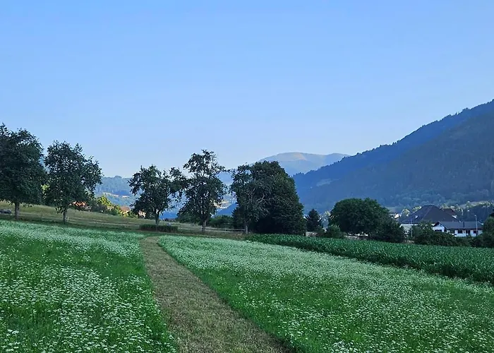 Ferien- Und Pferdegut Schloss * Treffen