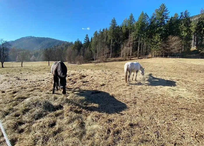 Apartament Ferien- Und Pferdegut Schloss Treffen am Ossiacher See
