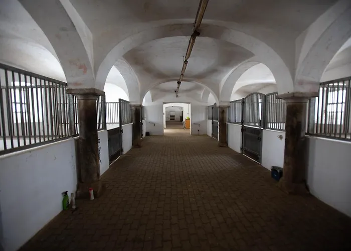 Апартаменты Ferien- Und Pferdegut Schloss *