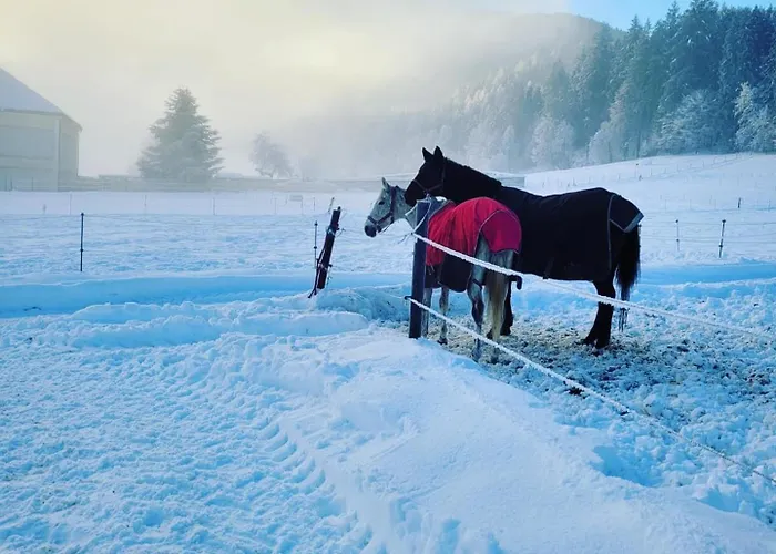 Apartment Ferien- Und Pferdegut Schloss
